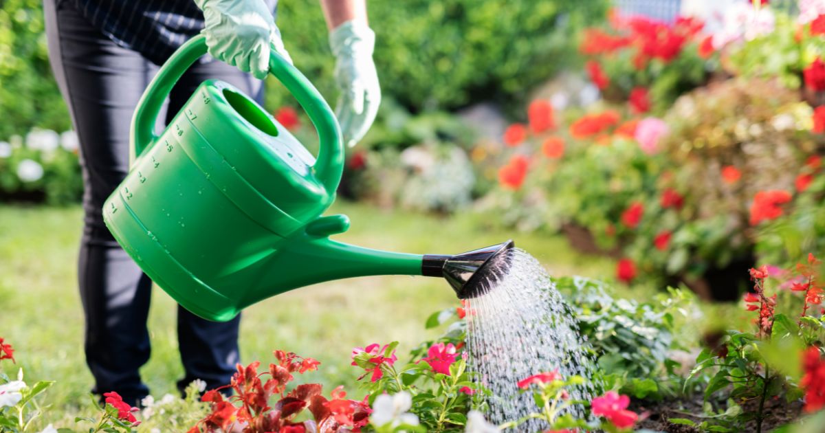 Locsolás okosan – Hogyan spórolj vizet a kertben?