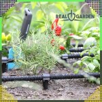 Szárnyas rögzítő tüske 16–20 mm csepegtetőcsőhöz – 100 db, 15 cm