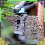 Szárnyas rögzítő tüske 16–20 mm csepegtetőcsőhöz – 100 db, 15 cm