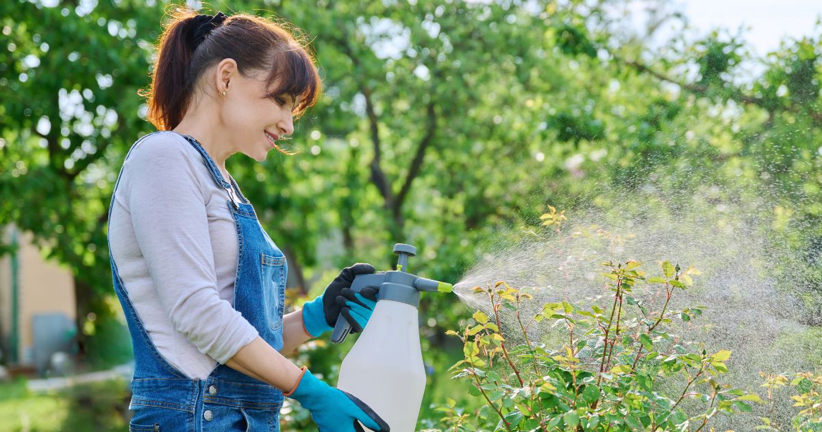 Tavaszi kártevők elleni védekezés – Így óvd meg a kerted és a nyugalmad!