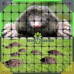 Erős vakondháló – 2x10 m – 30 g/m² – sűrű, strapabíró + 50 rögzítő tüskével