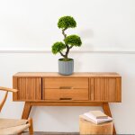 Műnövény dekoráció - bonsai - 55 x 27 cm