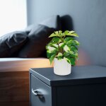Műnövény dekoráció - filodendron - zöld/sárga - 20 x 8 cm