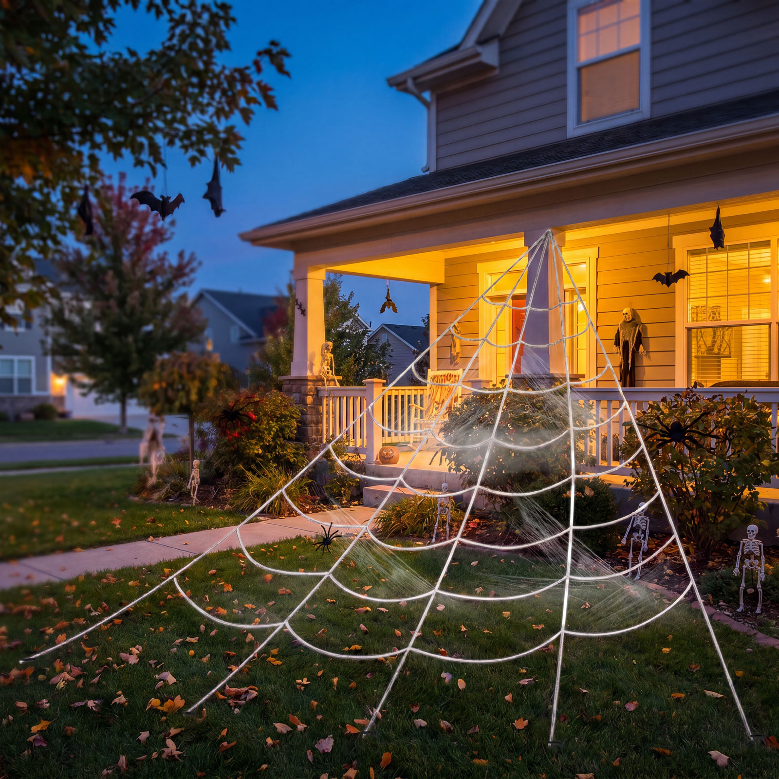 01_56611_web