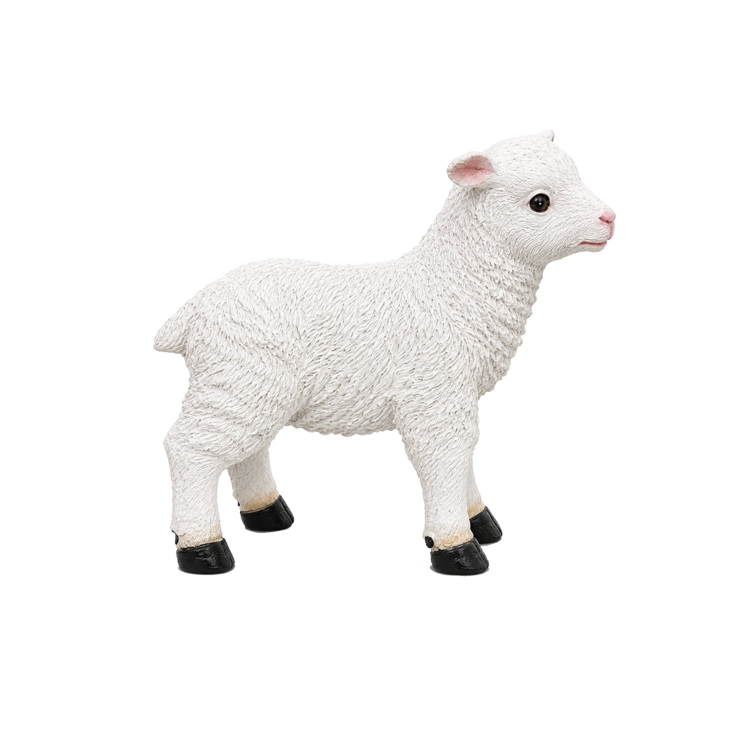 12257_1.png