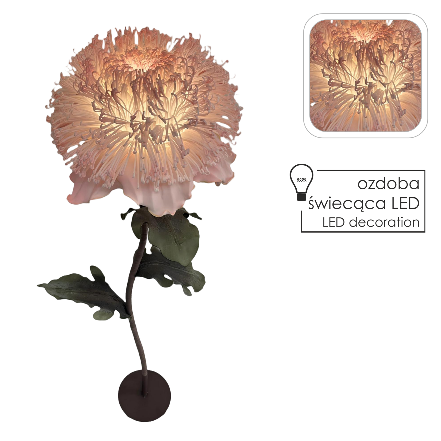 12959_1.png