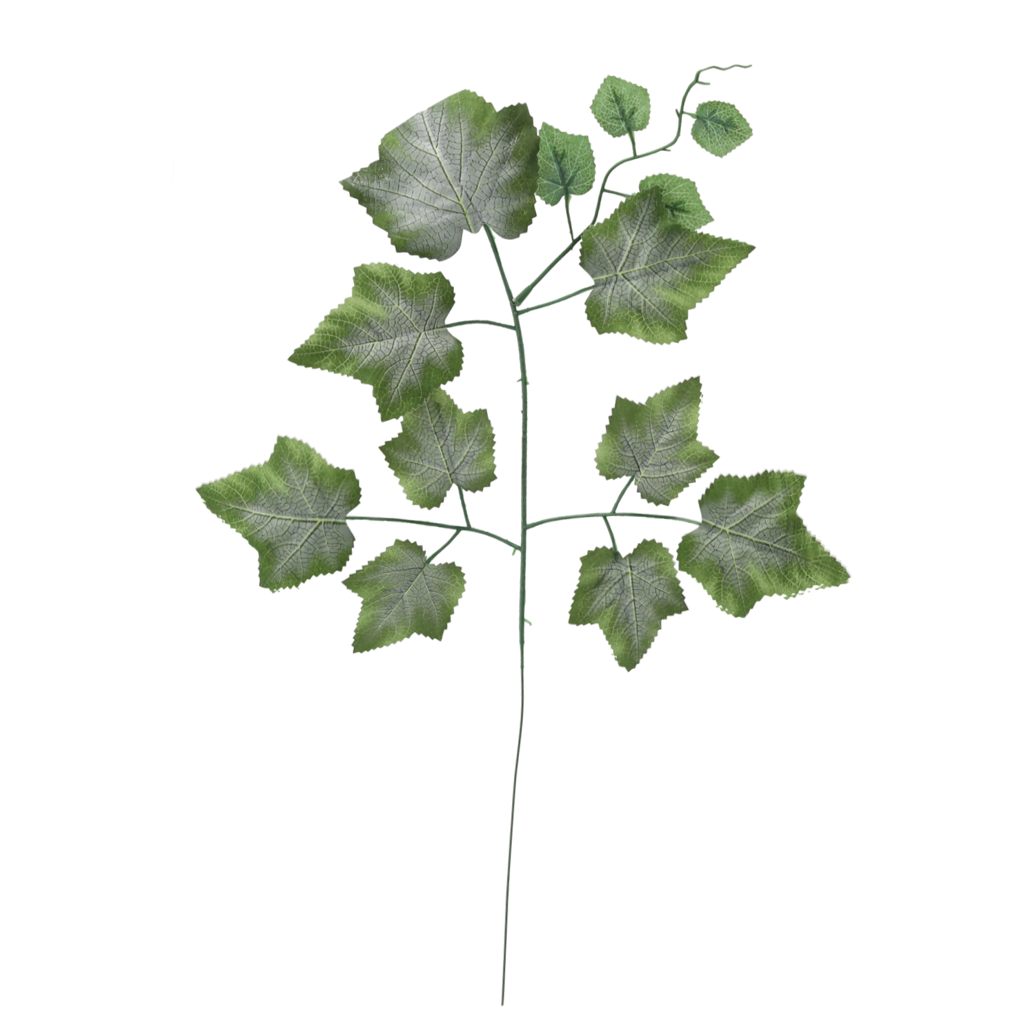 4368_1.png